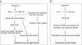 Thumbnail for version as of 15:44, 18 February 2015
