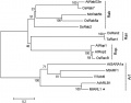 Thumbnail for version as of 12:32, 17 January 2015
