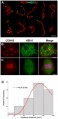 Thumbnail for version as of 10:12, 4 June 2014