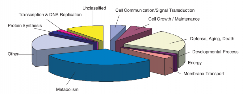 File:IC4R002-Genome-2002-11935018-f1.png