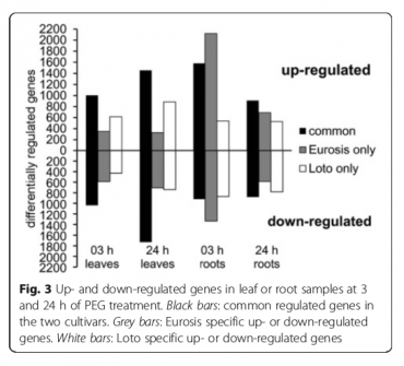 Sg6-RNA-Seq-2016-27216147-2.png