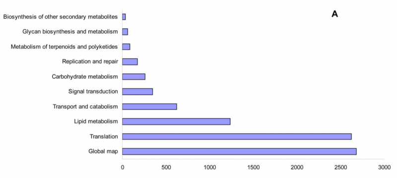 File:Sg7-RNA-Seq-2016-26752408-5.png