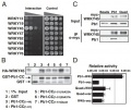 Thumbnail for version as of 03:23, 3 June 2014