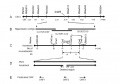 Thumbnail for version as of 13:47, 8 June 2014