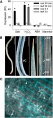 Thumbnail for version as of 13:40, 21 January 2015