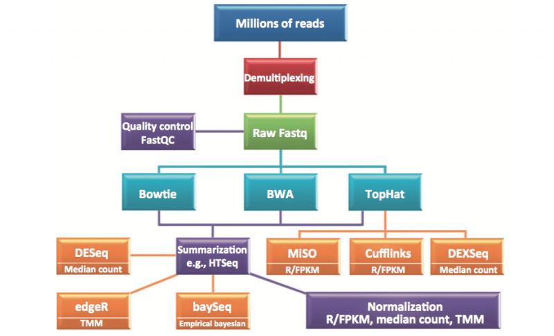 File:IC4R-RNA-Seq-overview-1.png