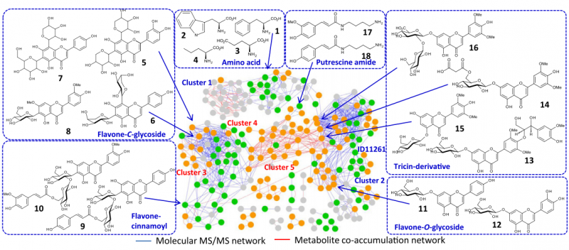 File:IC4R011-Metabolomics-2015-25267402-f1.png