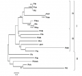 Thumbnail for version as of 09:49, 23 May 2014