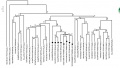 Thumbnail for version as of 10:45, 5 June 2014