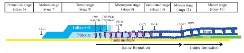 File:Image8.png