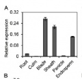 Thumbnail for version as of 12:14, 1 July 2014