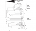 Thumbnail for version as of 06:29, 24 May 2014