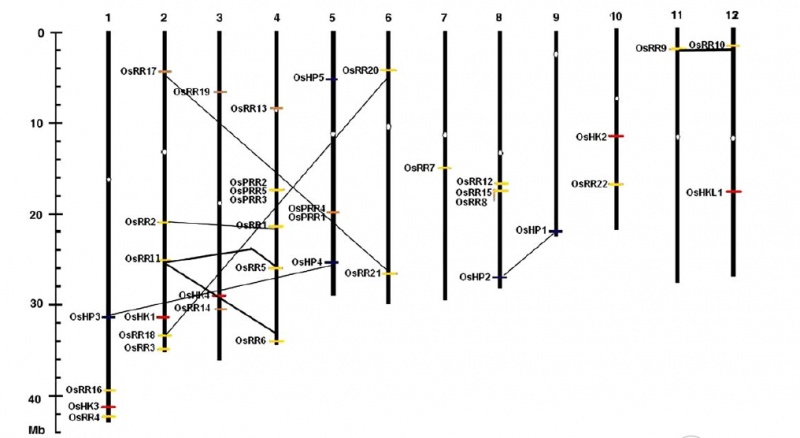 File:Fig4.png