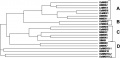 Thumbnail for version as of 15:34, 11 March 2015