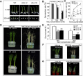 Thumbnail for version as of 16:03, 21 December 2014
