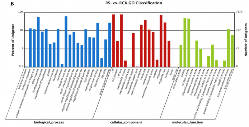 Sg7-RNA-Seq-2016-26752408-4.png