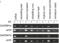 Thumbnail for version as of 13:14, 3 July 2014