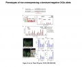 Thumbnail for version as of 03:47, 18 May 2014