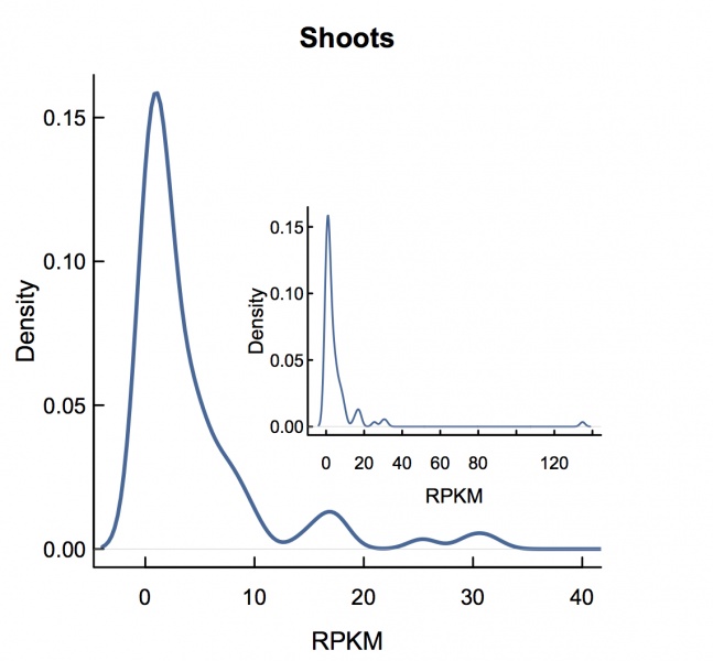 File:Shoots.rpkm.jpeg