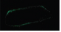 Thumbnail for version as of 09:36, 1 June 2014