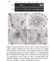 Thumbnail for version as of 03:12, 9 June 2014