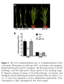 Thumbnail for version as of 08:35, 8 June 2014