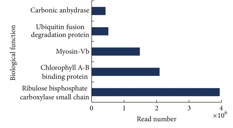 File:Sg8-RNA-Seq-2015-25713814-3.png