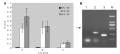 Thumbnail for version as of 08:53, 1 June 2014