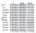 Thumbnail for version as of 08:10, 3 June 2014