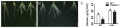 Thumbnail for version as of 14:38, 18 September 2016