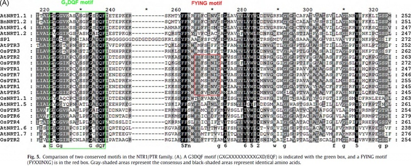 File:Os07g0100600fig5.jpg