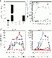Thumbnail for version as of 13:16, 6 June 2014