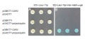 Thumbnail for version as of 13:55, 8 June 2014