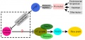 Thumbnail for version as of 08:18, 30 May 2014