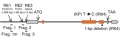 Thumbnail for version as of 03:01, 11 May 2014