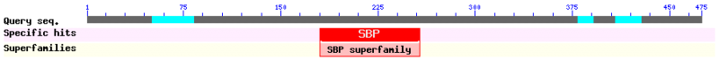 File:BGIOSGA020577.png