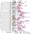 Thumbnail for version as of 07:06, 11 June 2014
