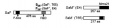 Thumbnail for version as of 12:45, 6 June 2014