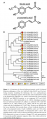 Thumbnail for version as of 14:04, 8 June 2014