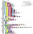 Thumbnail for version as of 01:32, 7 June 2014