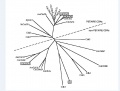 Thumbnail for version as of 15:01, 9 June 2014
