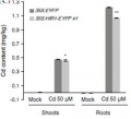 Thumbnail for version as of 16:35, 2 June 2014