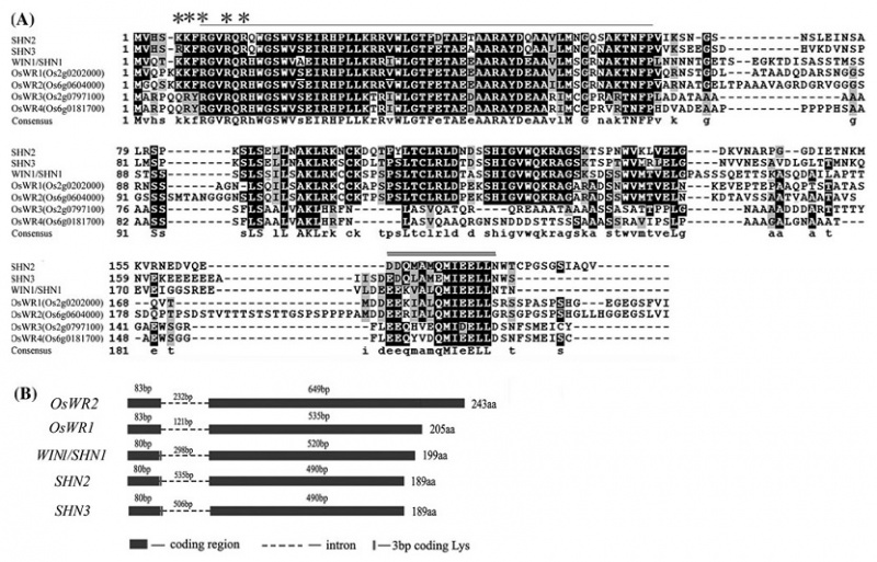 File:Fig-1.jpg