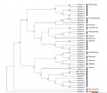 Thumbnail for version as of 13:20, 10 June 2014
