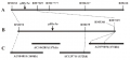 Thumbnail for version as of 07:11, 24 May 2014