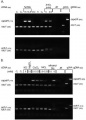 Thumbnail for version as of 06:22, 5 June 2014