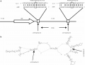 Thumbnail for version as of 03:25, 9 June 2014