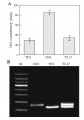 Thumbnail for version as of 16:04, 1 June 2014