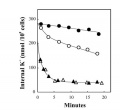 Thumbnail for version as of 15:34, 8 June 2014