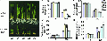 Thumbnail for version as of 07:29, 24 December 2014